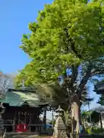 白幡八幡神社(神奈川県)