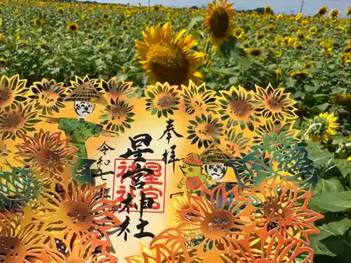 下野 星宮神社(栃木県)