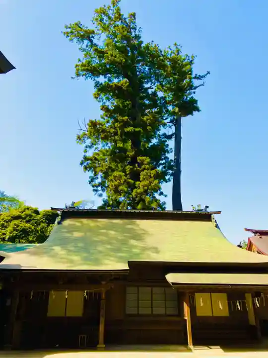 鹿島神宮(茨城県)