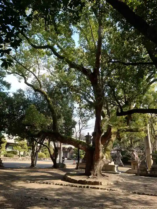 住吉大社(大阪府)