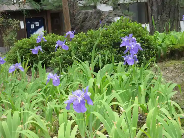 得浄明院(善光寺別院)の自然
