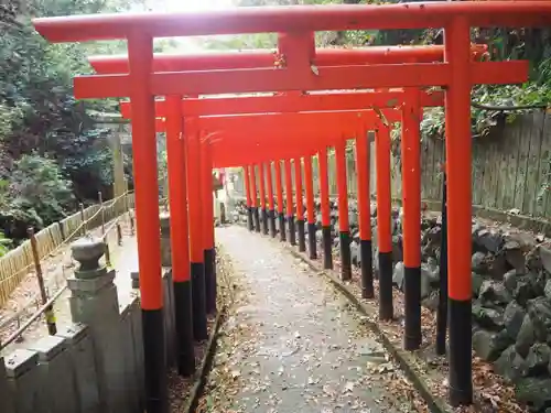 狸谷山不動院の鳥居