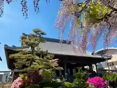 竹鼻別院の建物その他