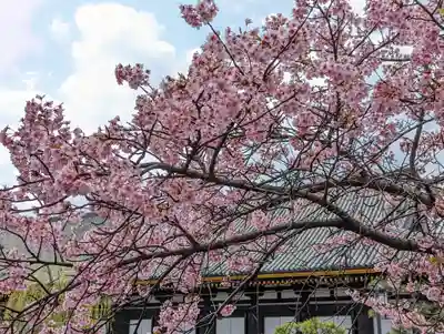 蓮華王院（三十三間堂）(京都府)