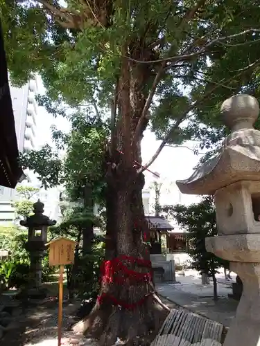 三輪神社の自然