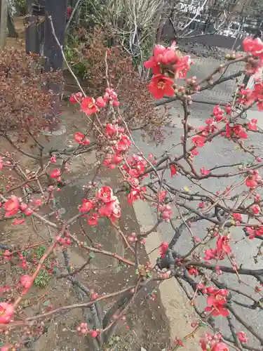 浅草神社(東京都)