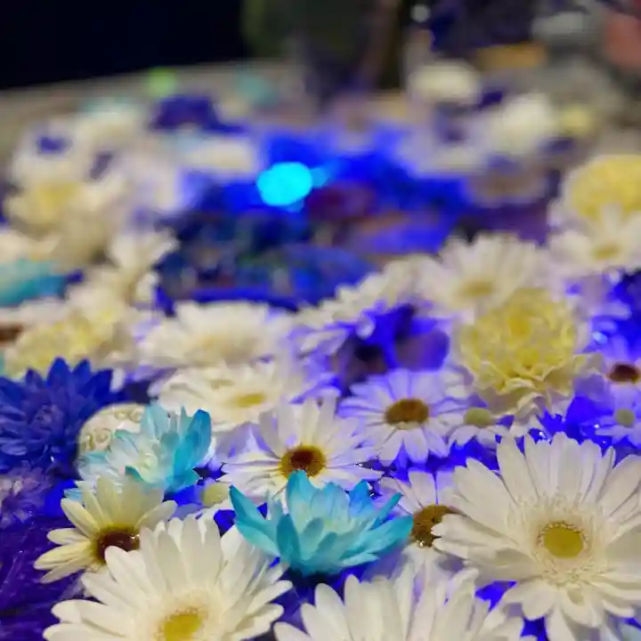 札幌諏訪神社の手水舎