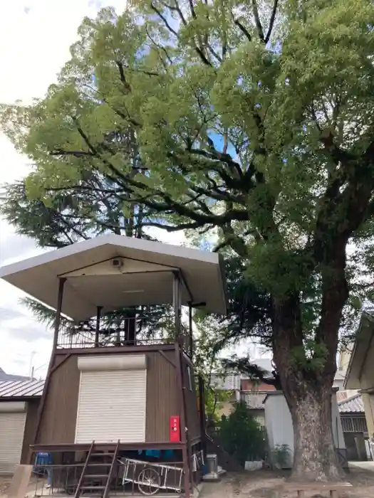 粟津天満神社の建物その他