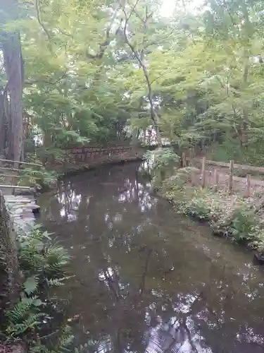 賀茂御祖神社（下鴨神社）(京都府)