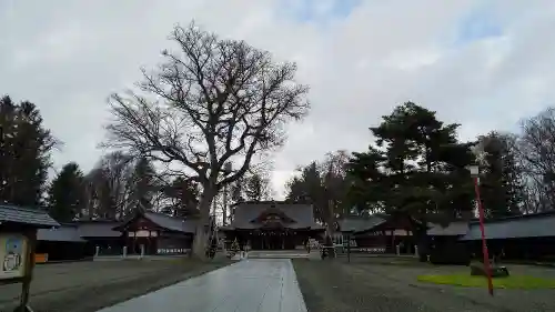 北海道護國神社の景色