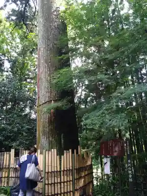 水澤寺(水澤観世音)(群馬県)