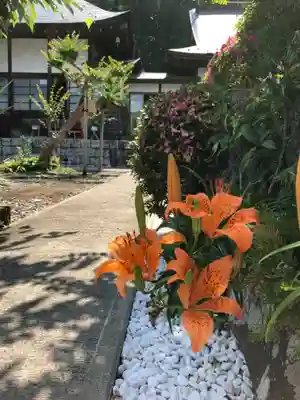 龍泰院のその他建物