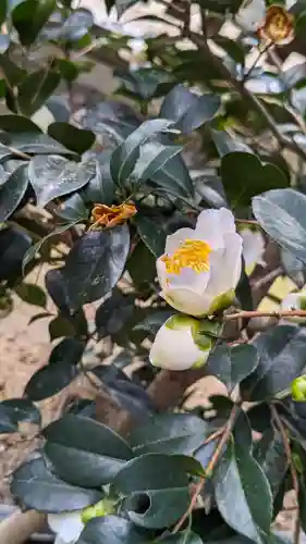 城南宮(京都府)