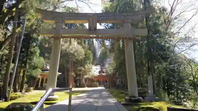 佐々牟志神社の鳥居