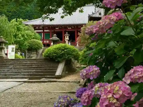 矢田寺の建物その他