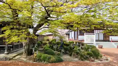 長安寺(群馬県)