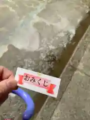 武田神社のおみくじ