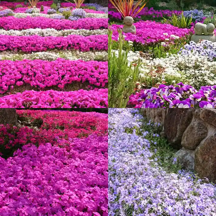 寿量山 速成寺の庭園