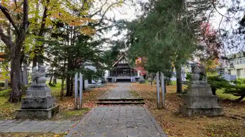 真龍神社の狛犬