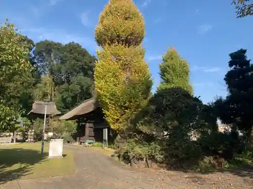 横浜　西方寺の景色