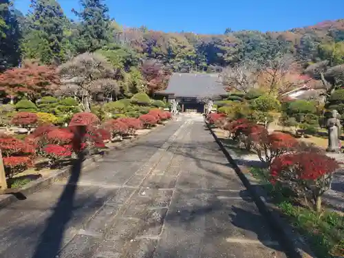 金藏院の山門