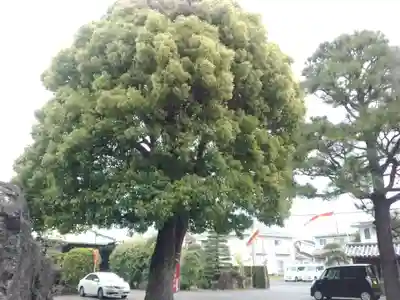 長安寺(神奈川県)