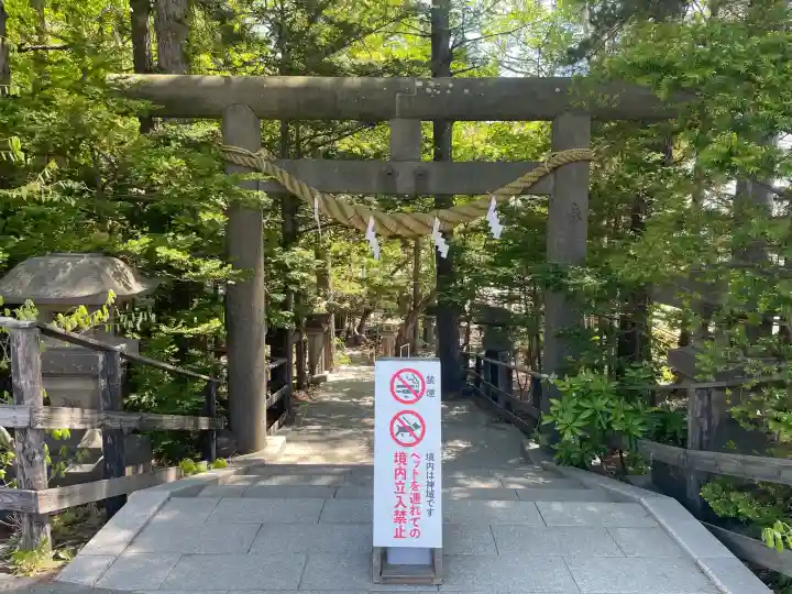 白石神社の{uncategorized: "未分類", other: "その他", undefined: "問題あり", building: "その他建物", grave: "お墓", sacred_gate: "鳥居", guardian: "狛犬", statue: "像", buddha: "仏像", history: "歴史", nature: "自然", garden: "庭園", animal: "動物", pagoda: "塔", temizu: "手水舎", mountain_gate: "山門・神門", sanctuary: "本殿・本堂", subordinate: "末社・摂社", art: "芸術", scenery: "景色", jizo: "地蔵", ema: "絵馬", goshuin: "御朱印", omikuji: "おみくじ", items: "授与品その他", amulet: "お守り", goshuincho: "御朱印帳", eats: "食事", festival: "お祭り", votive_dance: "神楽", shichigosan: "七五三参", wedding: "結婚式", experience: "体験その他", initially: "初詣", around: "周辺", anti_infection: "感染症対策"}