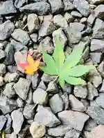 土津神社|こどもと出世の神さまの自然