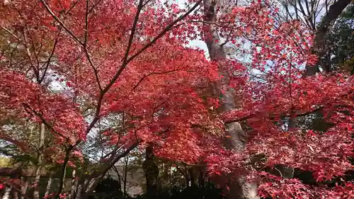 深大寺の庭園