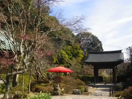 海蔵寺の庭園