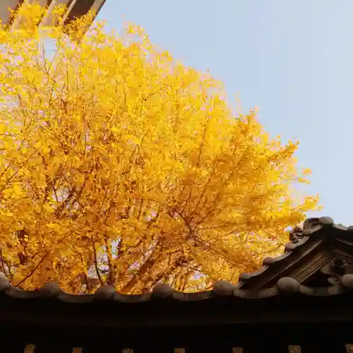 稼穡稲荷社の自然