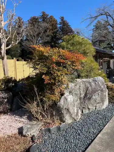 崇真寺(開運犬り切不動尊)(栃木県)
