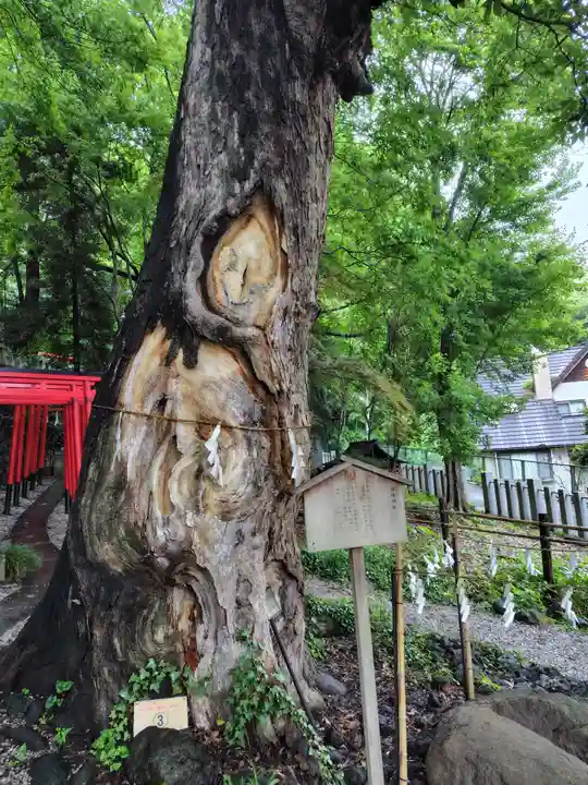 山名八幡宮(群馬県)