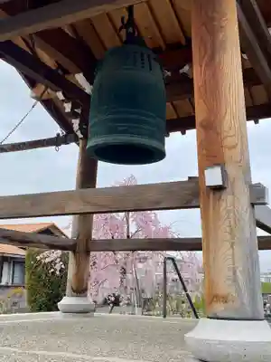 實相寺（実相寺） (京都府)