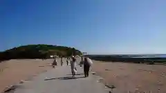 青島神社（青島神宮）の自然