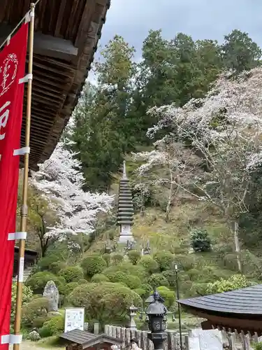 岡寺（龍蓋寺）(奈良県)