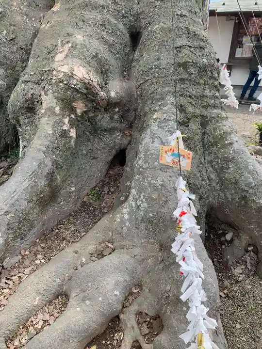 八枝神社(埼玉県)