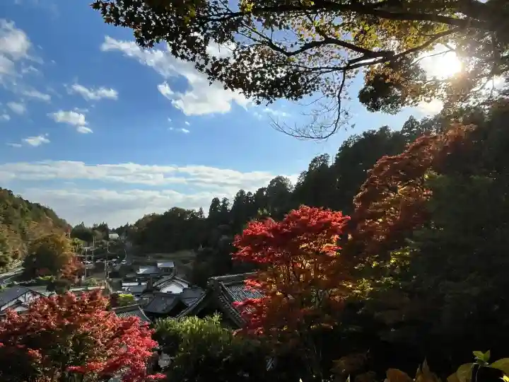 柳谷観音 楊谷寺(京都府)