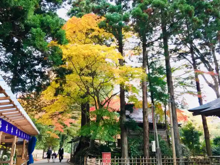中尊寺本堂の自然