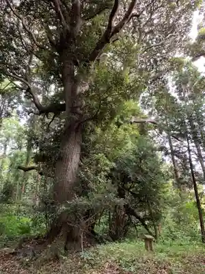 白幡大神・四社大神(千葉県)