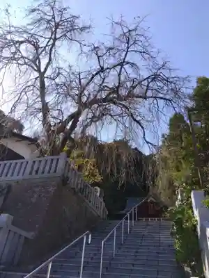 毛谷黒龍神社(福井県)