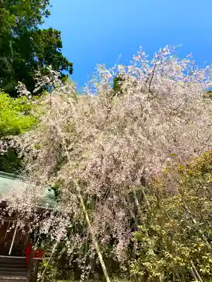 常宮神社(福井県)