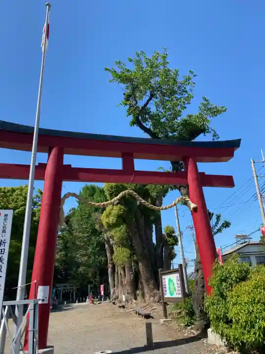 生品神社(群馬県)