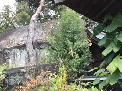 大石神社の自然