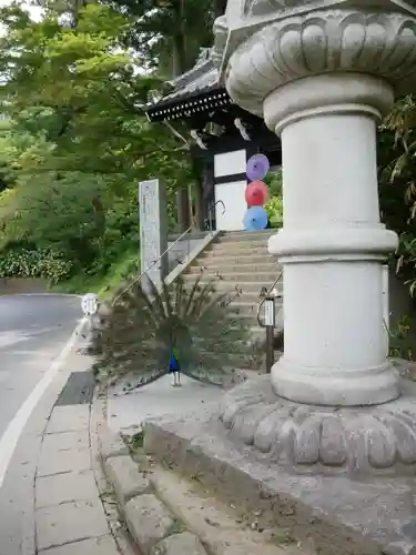 楽法寺（雨引観音）(茨城県)