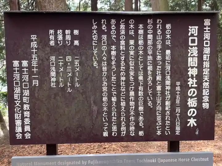 河口浅間神社の歴史
