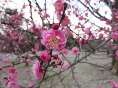 白雲神社(京都府)