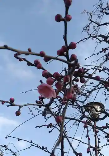 比佐豆知神社(三重県)