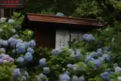 国宝 大法寺の建物その他