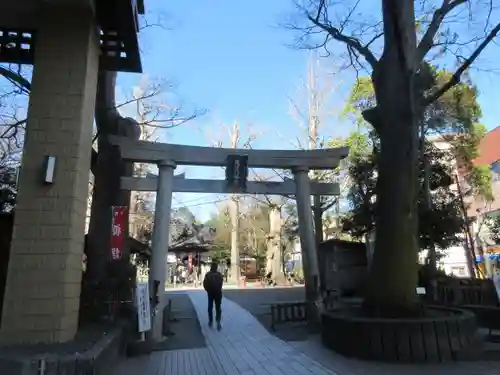 亀岡八幡宮（亀岡八幡神社）の鳥居